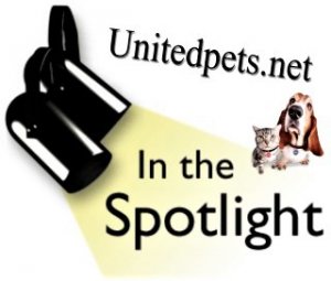 an in the spotlight award